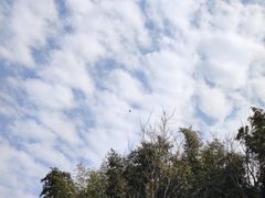 -浮山风景名胜区