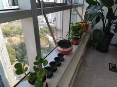 -新航道雅思托福·留学·考研培训(人民广场校区)