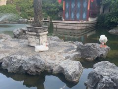 -祝家花園(伯渎港店)