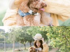 -五里桥文化公园-西侧停车场