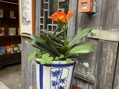 -古今茶语·峨眉山有机茶体验馆