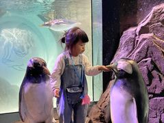 -成都浩海立方海洋公园