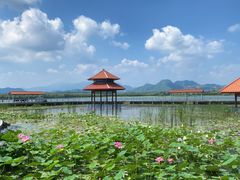 -青龙湖公园