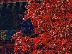 -香山公园