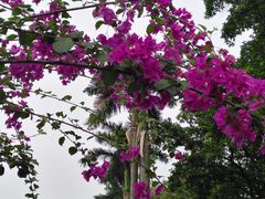 -广东外语外贸大学(白云山校区)