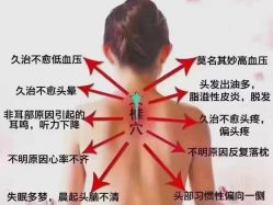 -天姿美容·美体科技SPA·艾姿美店