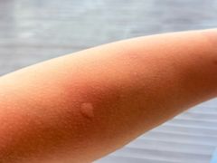 -徂徕山森林康养度假谷温泉