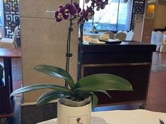 -顺峰海鲜酒楼(省府店)
