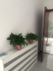 -梦斯绮私密催乳修复中心