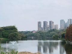 -重庆彩云湖湿地公园