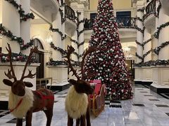 -Salon de Ville浦江汇(上海外滩华尔道夫酒店店)