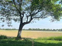 -汉长安城未央宫国家考古遗址公园