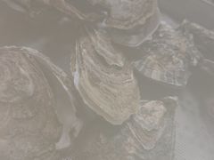 -福禧荟·海鲜自助