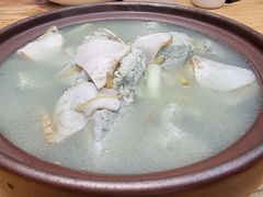 -滇铺子·云南特色菜·鲜花野菜季(东风东路c86店)