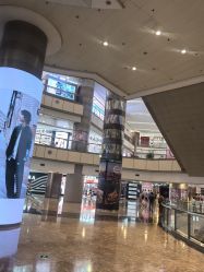 -小蓝象(正大广场店)