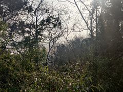 -苏州上方山国家森林公园