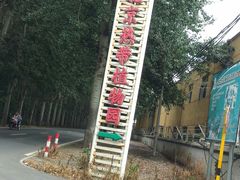 -北京呀路古热带植物园