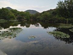 -白马涧龙池景区