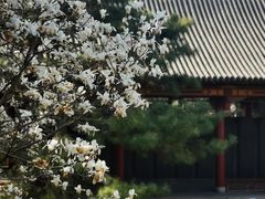 -碑林公园
