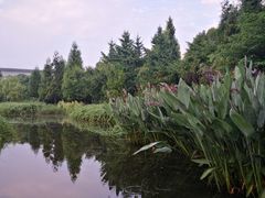 -贵阳市花溪国家城市湿地公园