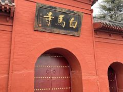 -洛阳白马寺