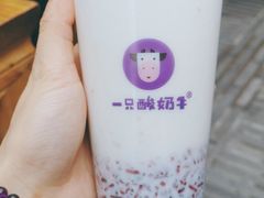 -一只酸奶牛(奎星楼店)