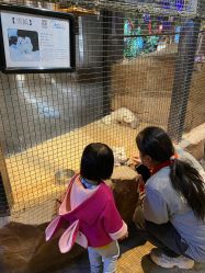 -酷嗒动物文化乐园(cutezoo西溪乐天城店)