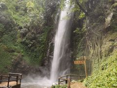 -莫里热带雨林景区