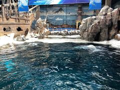 -杭州长乔极地海洋公园