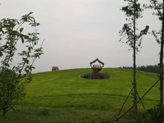 -合肥滨湖国家森林公园