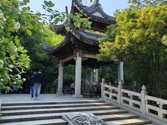 -长广溪湿地公园