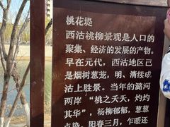 -桃花堤公园