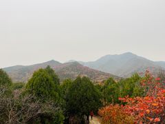 -红螺寺