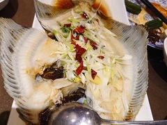 葱油多宝鱼-福来齐·鲁菜海鲜·渔家菜(朝阳街分店)