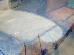 -Mr·Kuma酷么先生雪之乐园