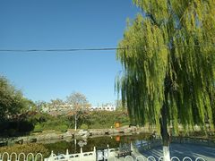 -西海子公园
