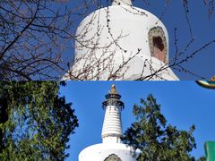-天坛公园