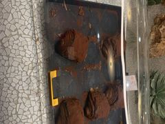 -OUR Bakery(SKP-S店)