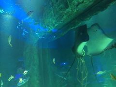 -沈阳海洋探索中心