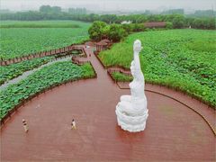 -荷塘月色湿地公园·向阳花洲