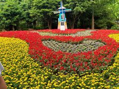 -上海共青森林公园