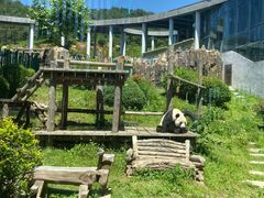 -大连森林动物园