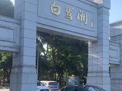-白鹭洲公园
