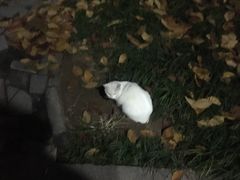 -江苏科技大学(梦溪校区)