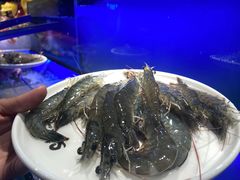 -苏格里岛自助海鲜烤肉(青秀万达店)