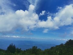 -大围山国家森林公园