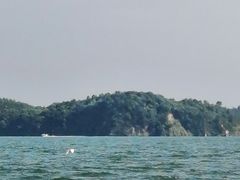 -鄱阳湖国家湿地公园