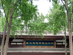 -大慈恩寺(大雁塔)