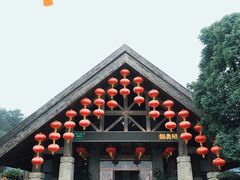 -铁山坪森林公园