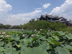 -江心屿景区